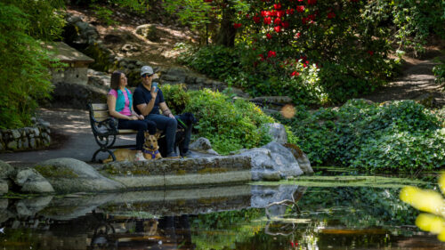 Two people sitting on a bench next to a large pond. Their two dogs lie beside them on the ground.