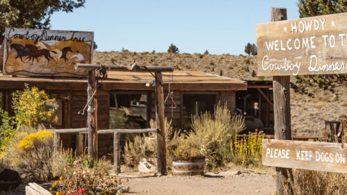 A rustic wooden building with a sign reading "Cowboy Dinner Tree" out front.