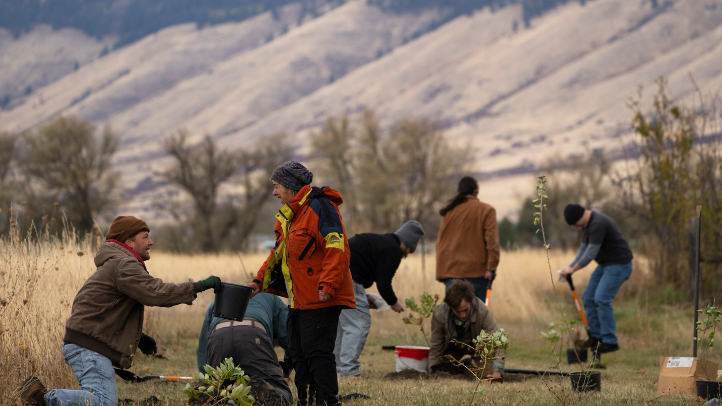 A group of Native Americans planting trees.