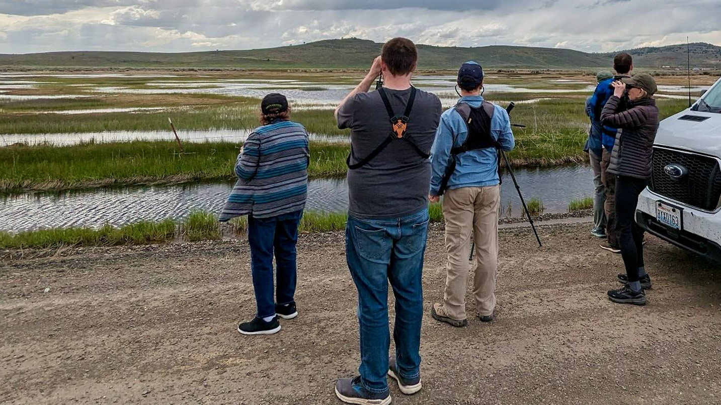 A group of people look out onto a marsh.