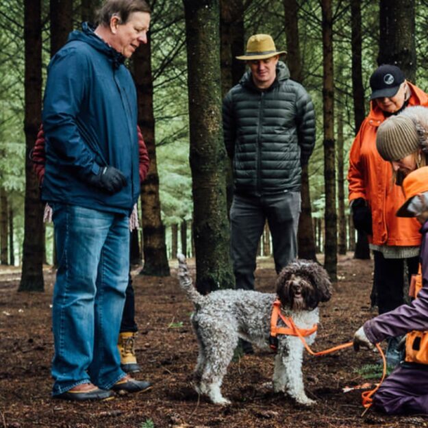 A group of people wear coats and hats and stand in the woods looking at a small black and white dog with an orange leash.