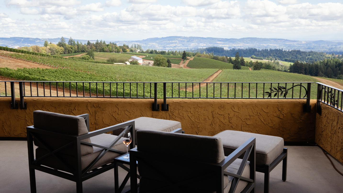 A balcony view of a vineyard and the valley backdrop.