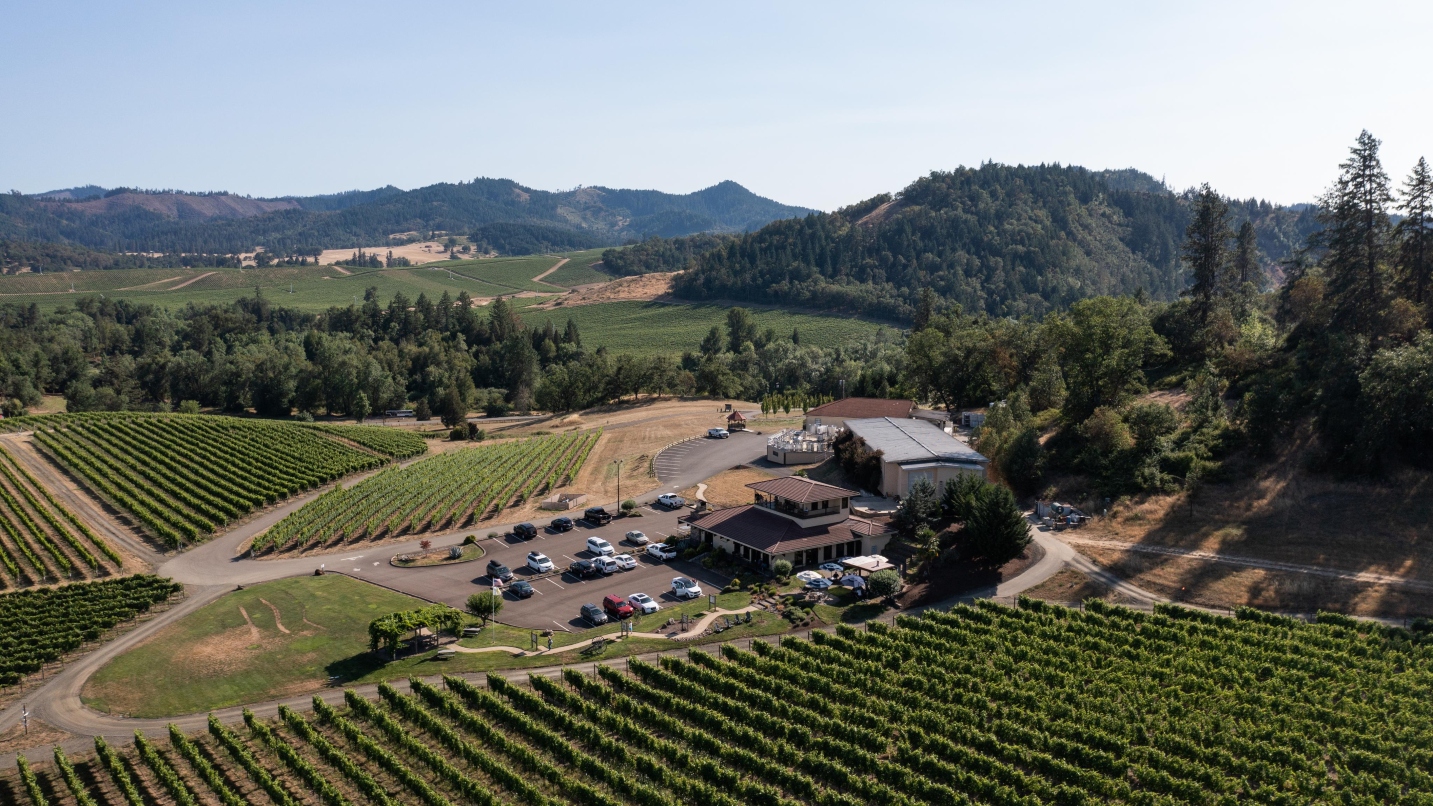 Blue sky, mountains and a hillside vineyard with large building, cars and trees lining the property