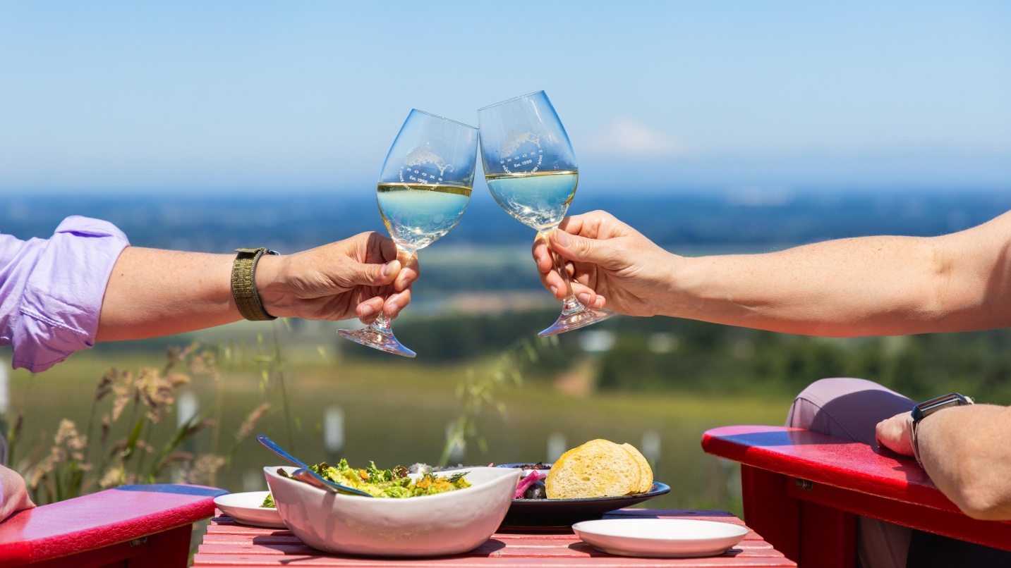 Two people in red chairs hold wine glasses with outstretched arms in cheers position across plates of food outdoors with a blue sky and mountain in background