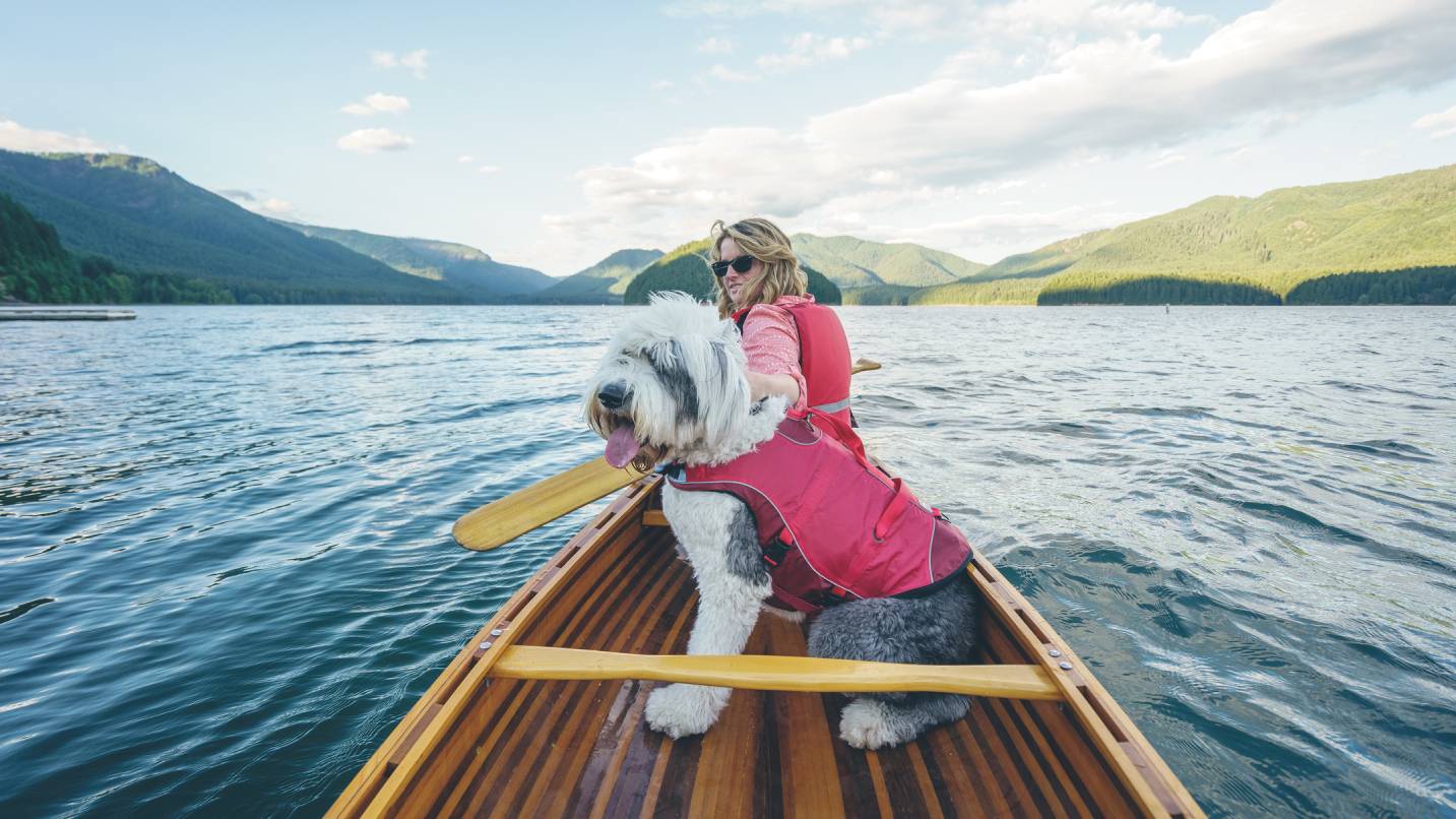 A dog and woman in a canoe paddling on a lake. Both wear safety jackets.