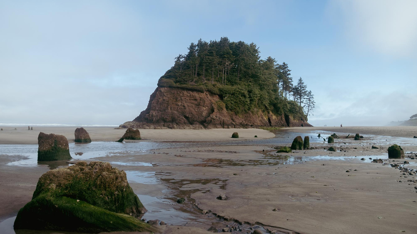 A very large rock formation on a sandy beach. It is topped with foliage and hundred-feet tall evergreens. On the beach, short stumps rise out of the sand.