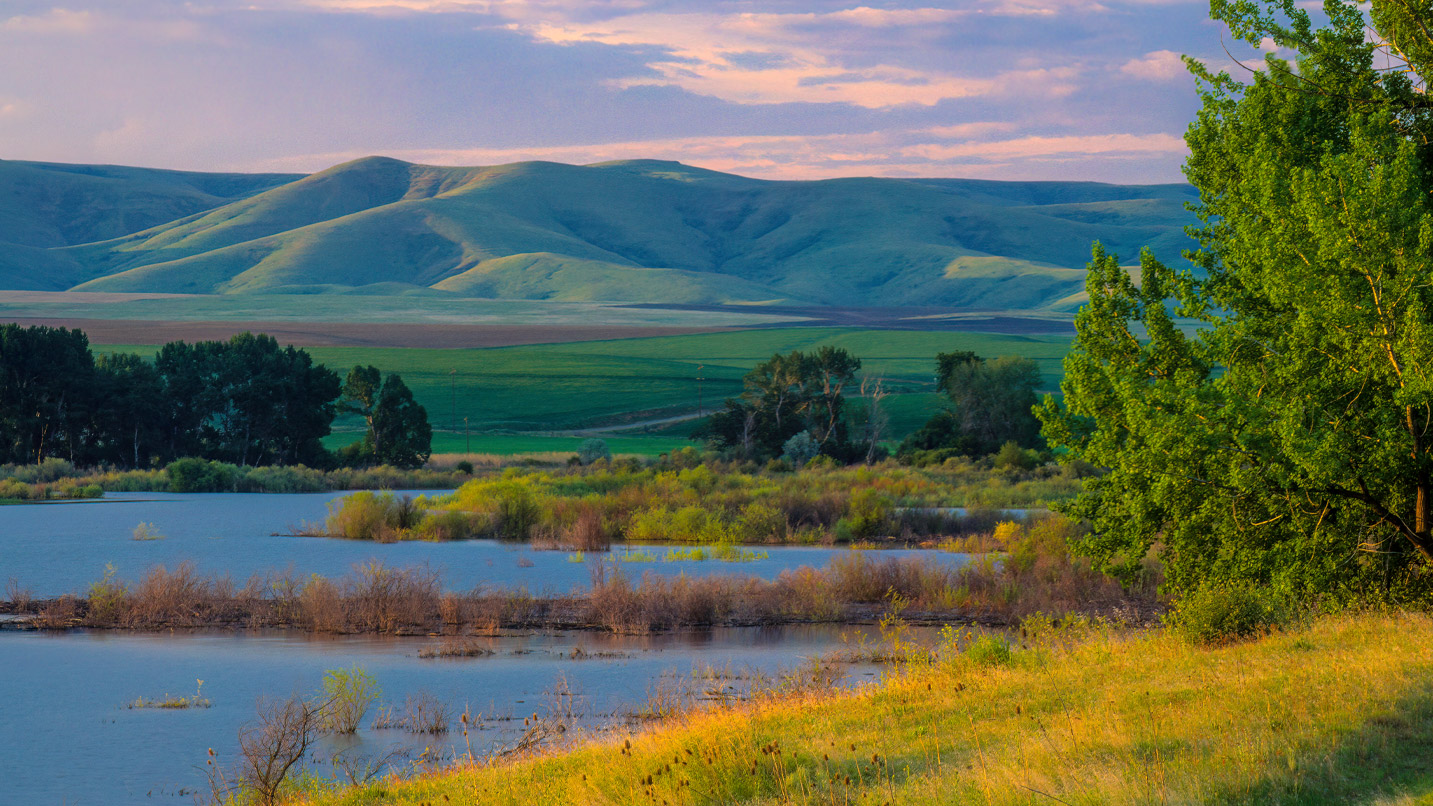 A calming view of a small wetland area, with a small pond, green fields and large, grassy hills.