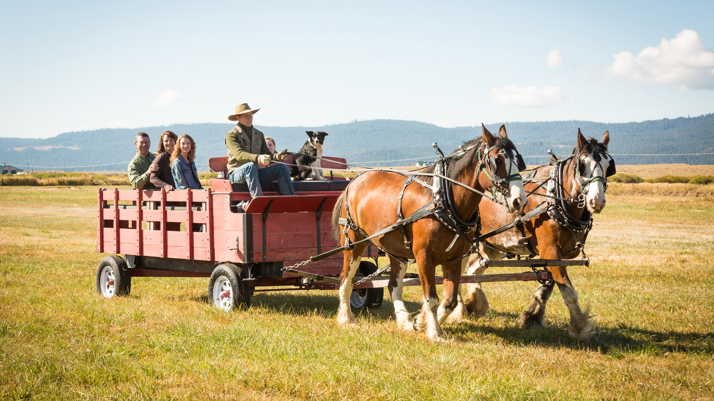 An old-fashioned red wagon full of people being pulled by two large horses and their handler.