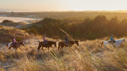 Several people, adults and children, riding horse on a sandy dune at sunset.