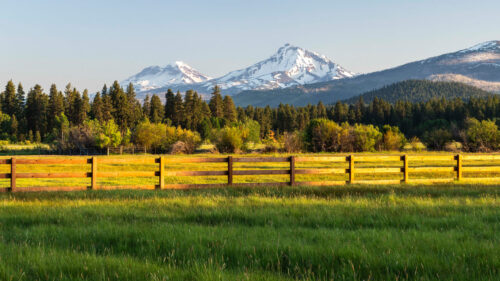 Snow-capped mountains back a green pasture.