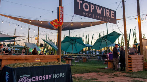 Outdoor event space, with several patio tables and strung lights. A large sign between two tall wooden posts reads "Topwire Hop Project."