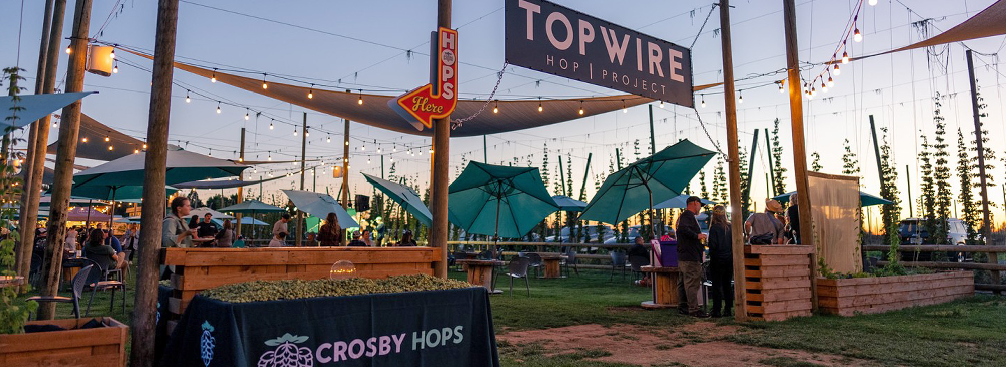 Topwire Behind the Scenes at TopWire Hop Project - Travel Oregon