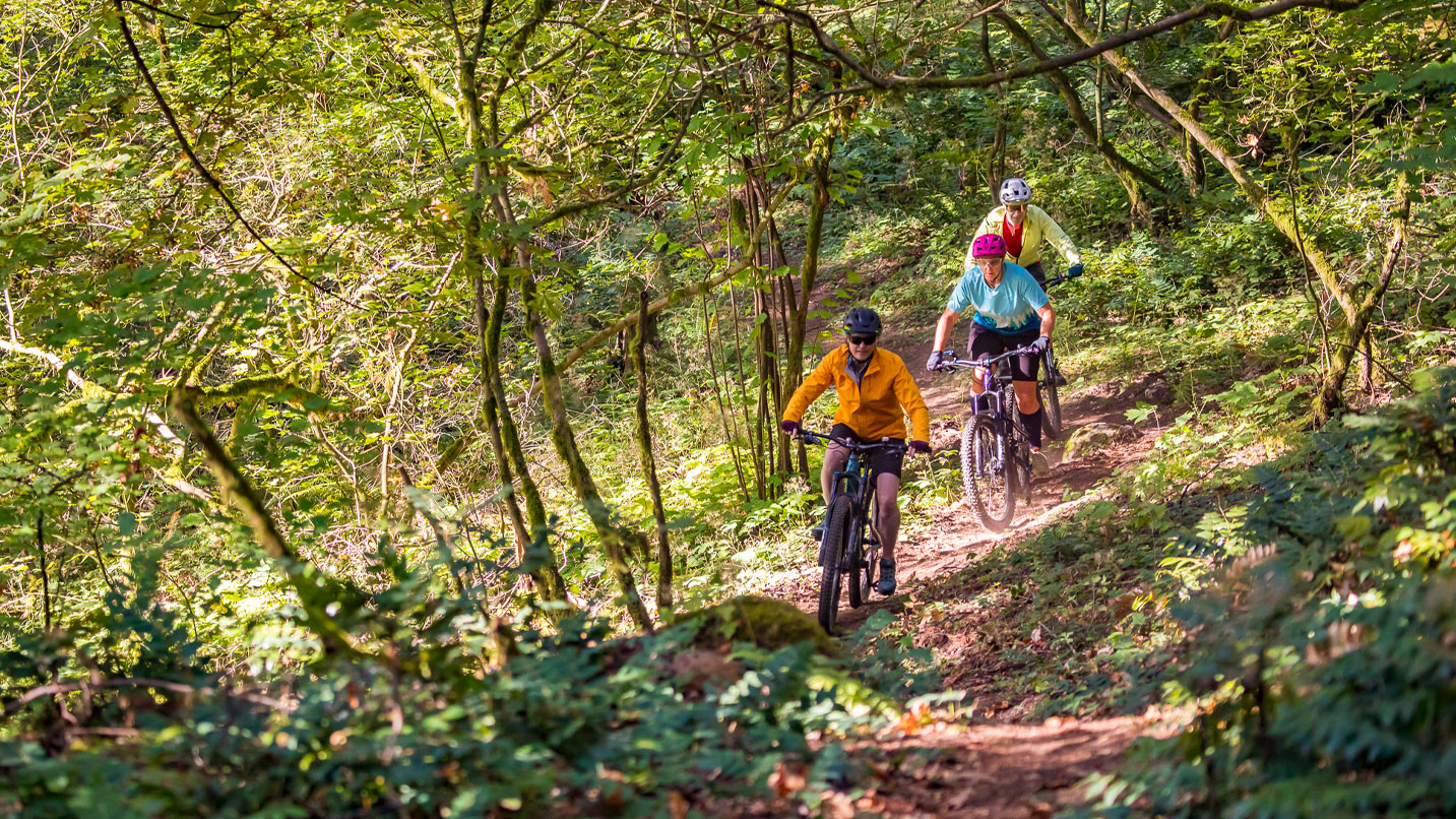 Two mountain bikers riding down a forested trail.