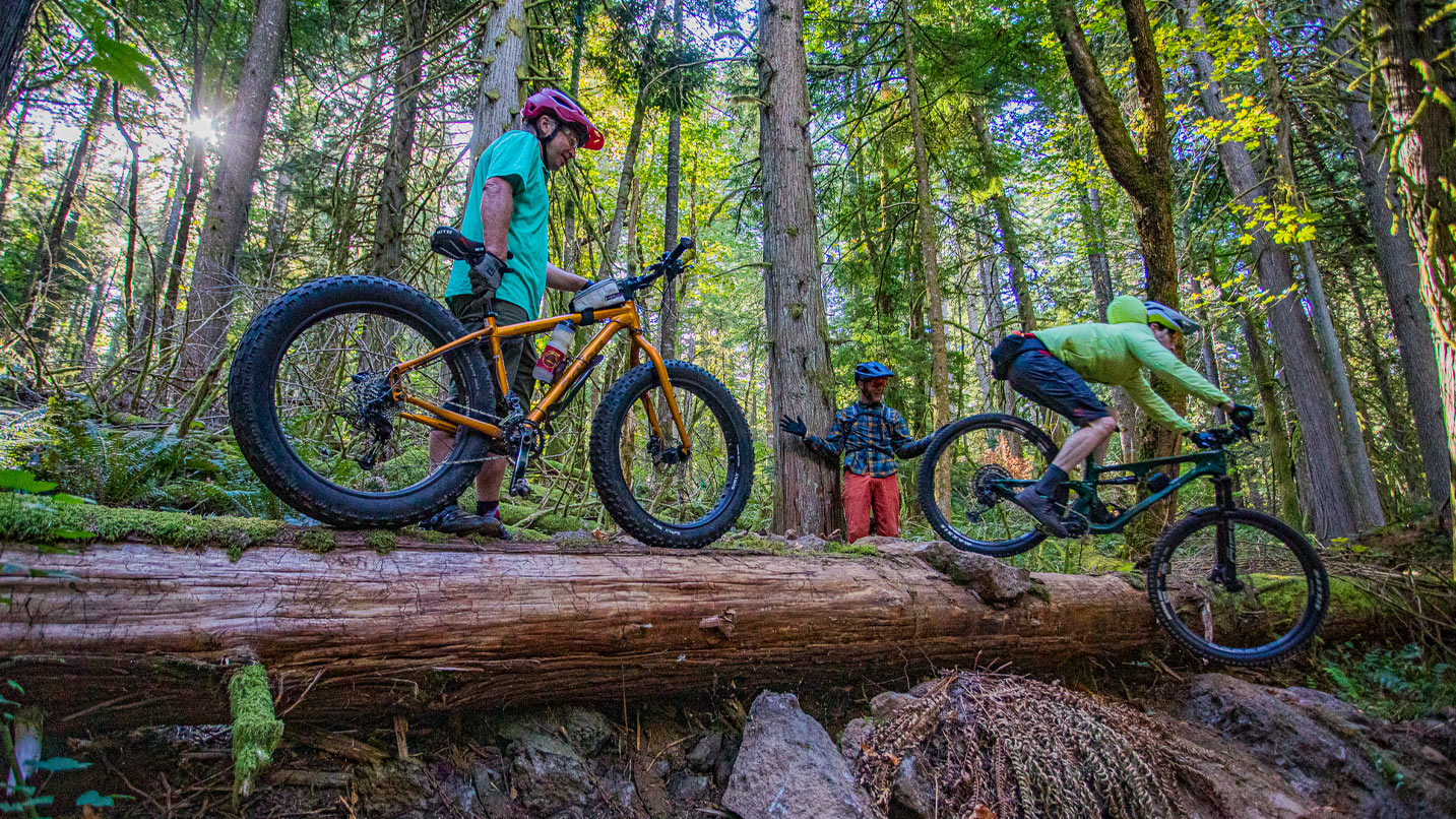 Mountain bikers going across a log.