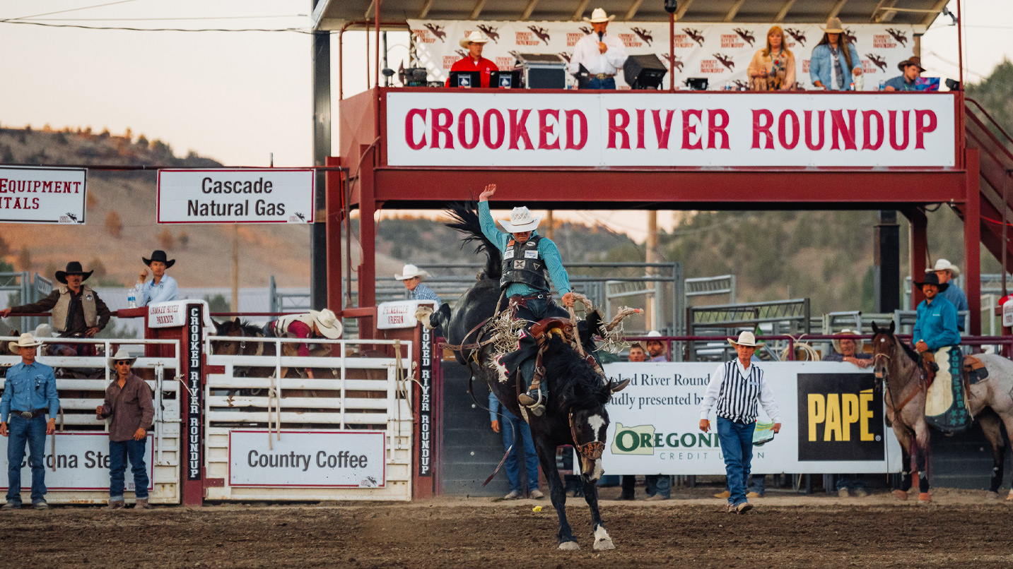 A rodeo event with the contest judges looking down from the stands.
