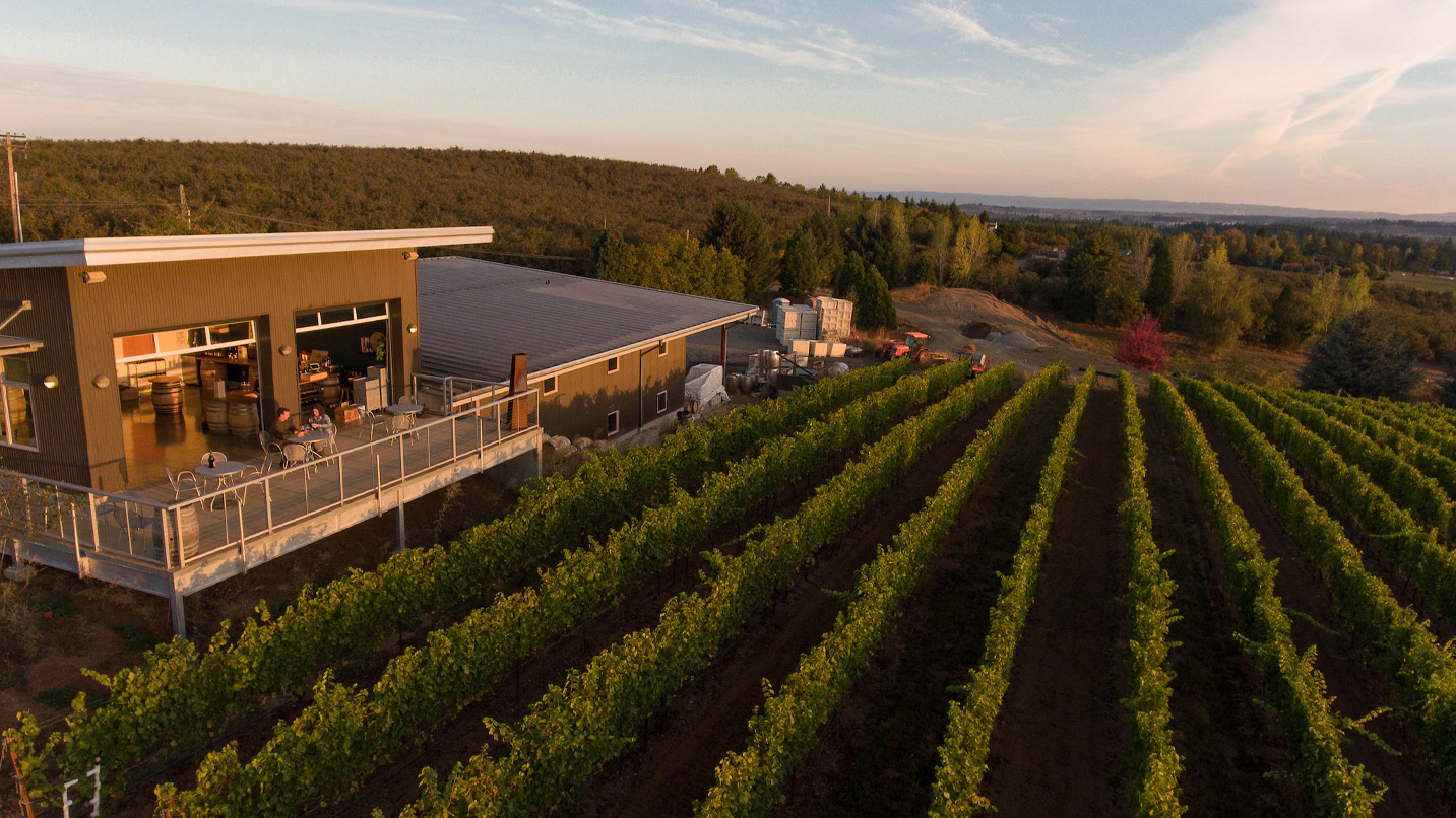Arial view of a winery's balcony overlooking vineyards.
