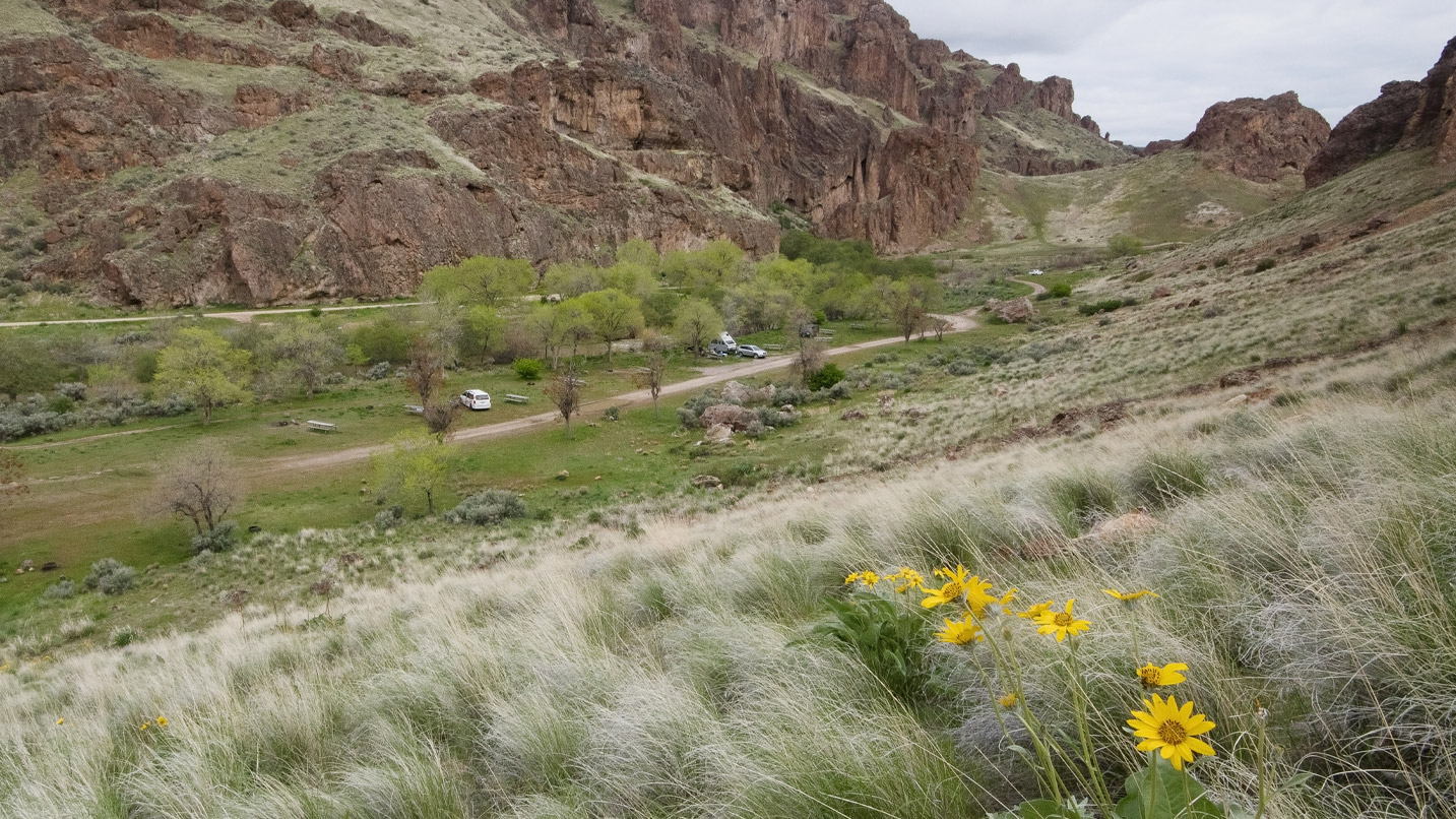 A small grassy area with a road and parked cars at the bottom of a large red rock cliff.