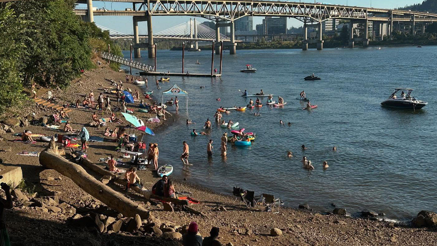 Several people swimming or sitting on the bank of the Willamette River with views of bridges over the river and part of the city skyline.