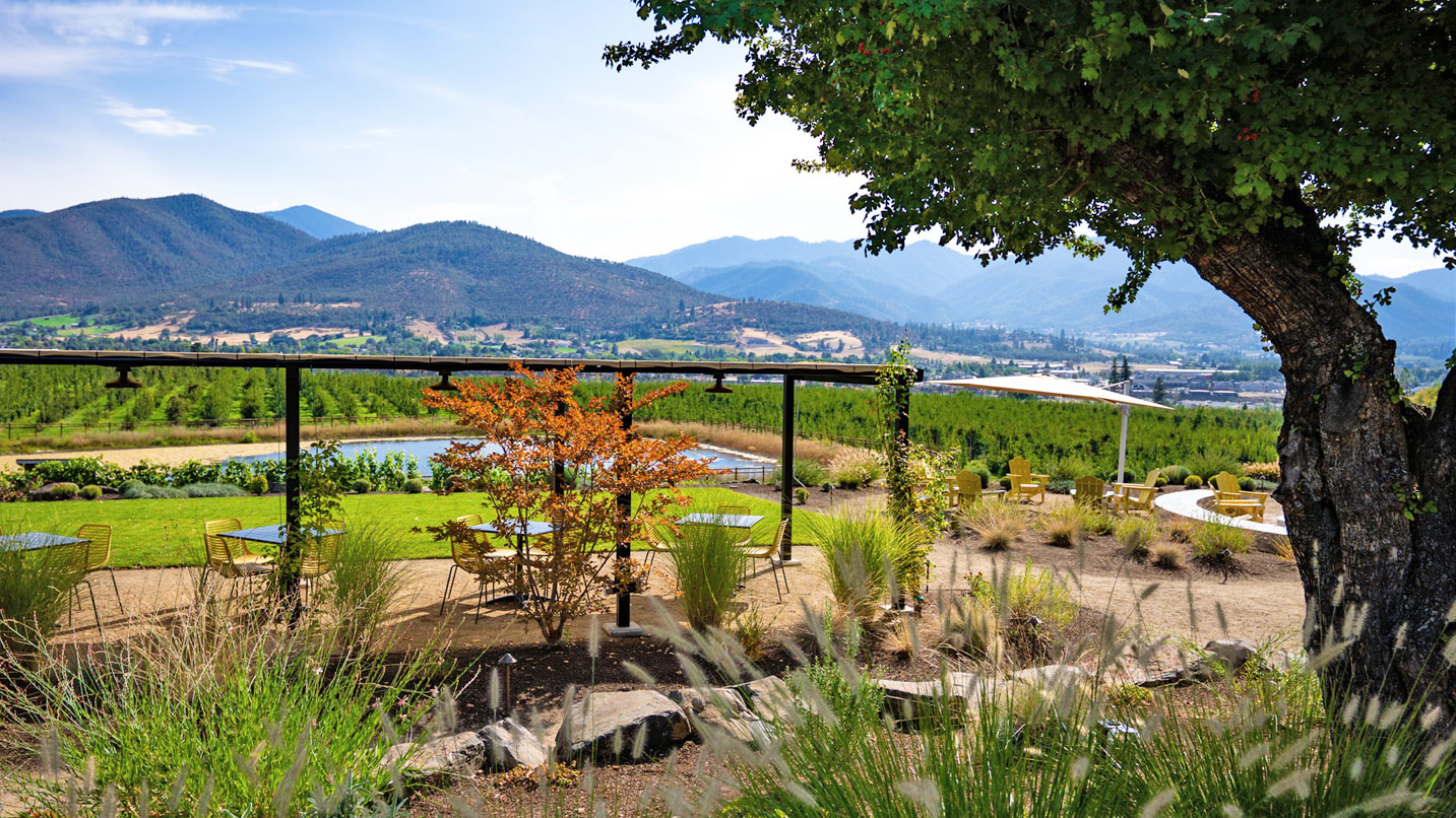 A sweeping view of vineyards and distant mountains.