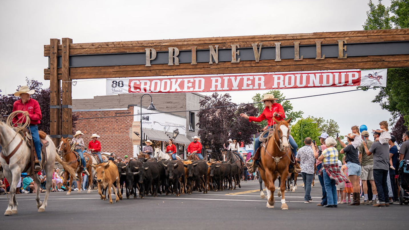 Horseback riders and cattle ride along a street under a welcome to Prineville sign.
