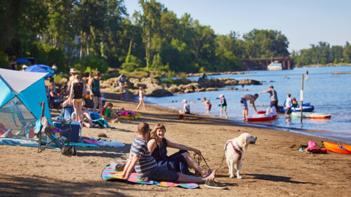 many people sit on blankets in the sand along a stretch of beach, with colorful kayaks and a white dog in foreground