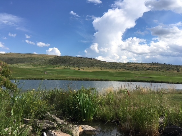 Native grasses on the banks of a natural water feature leads to a well-maintained golf fairway at Buffalo Peak Golf Course.