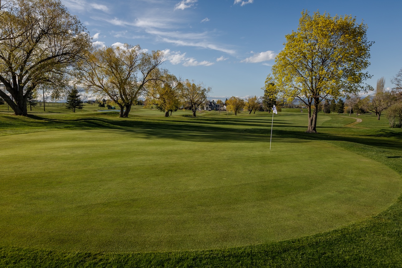A sunny day on the greens, looking back from the hole lined with deciduous trees.