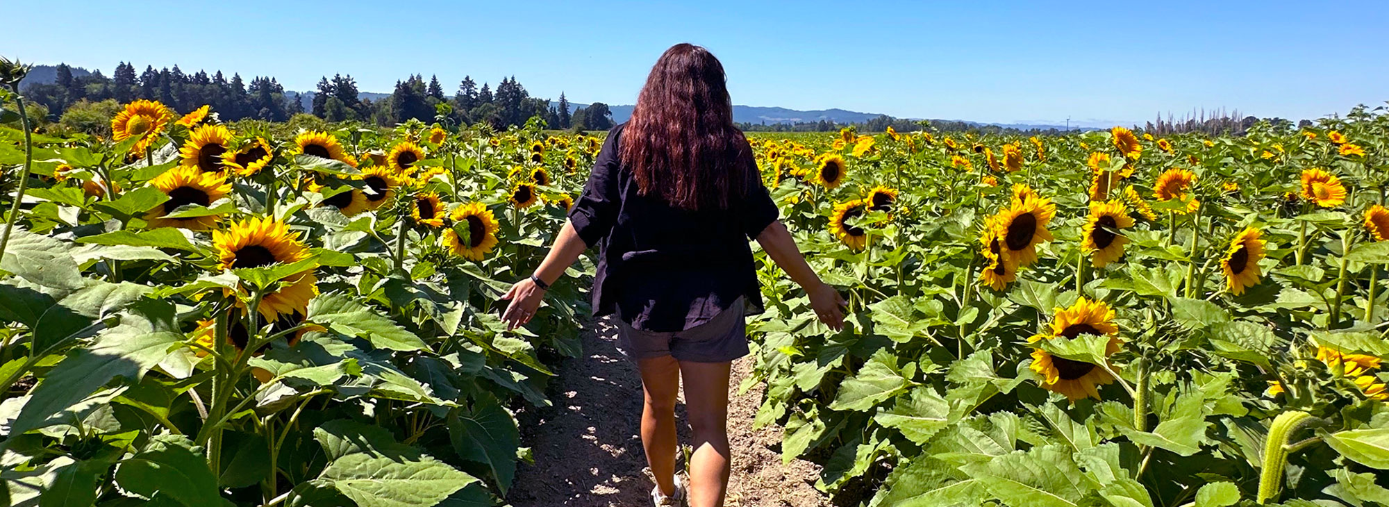 Three Seasons of Family Fun at Bella Organic Farm