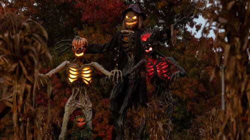 Two skeletons with pumpkin head sculptures placed along an outdoor path. The sculptures are lit with lights to show their ribs prominently.