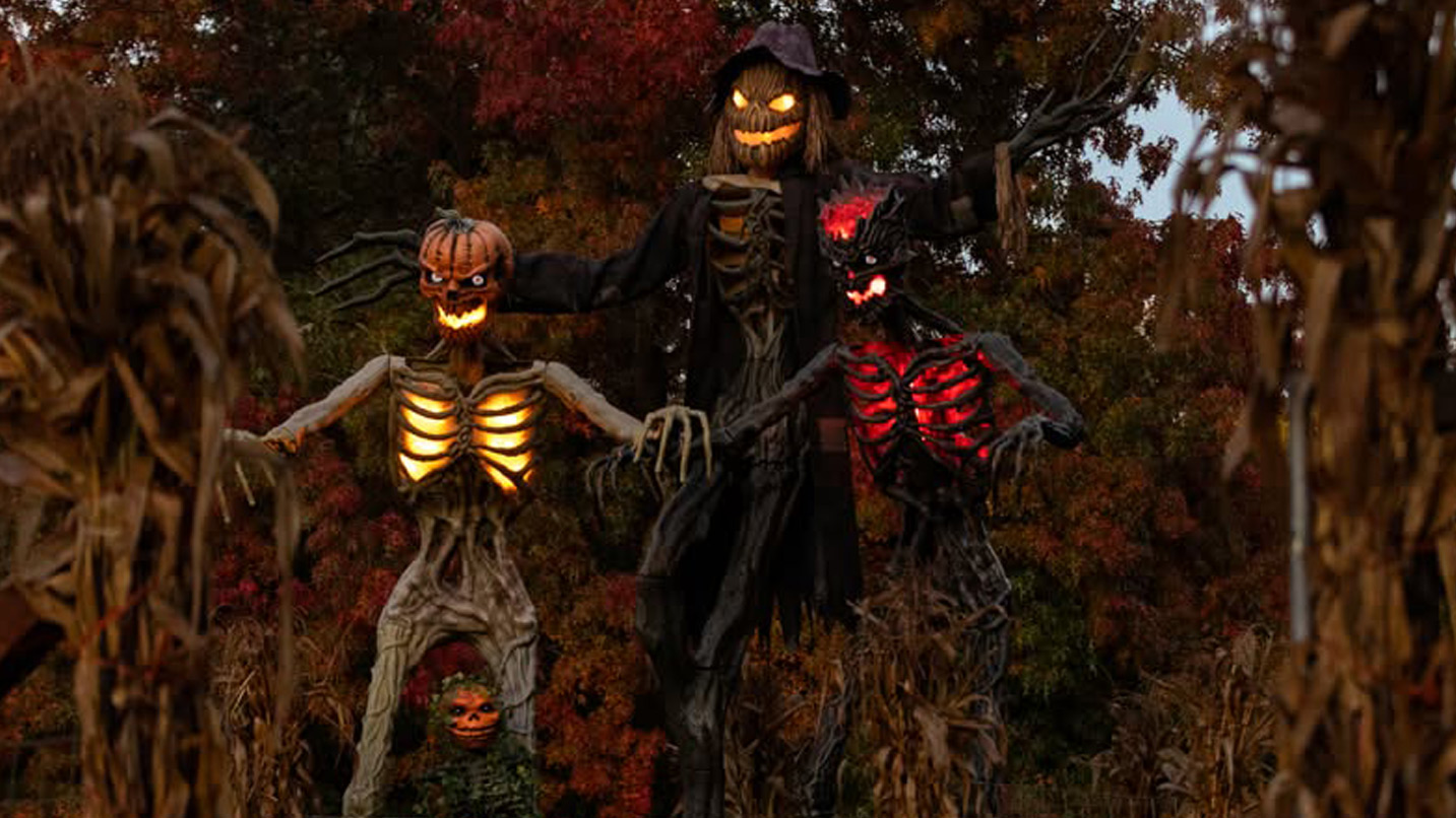 Two skeletons with pumpkin head sculptures placed along an outdoor path. The sculptures are lit with lights to show their ribs prominently.