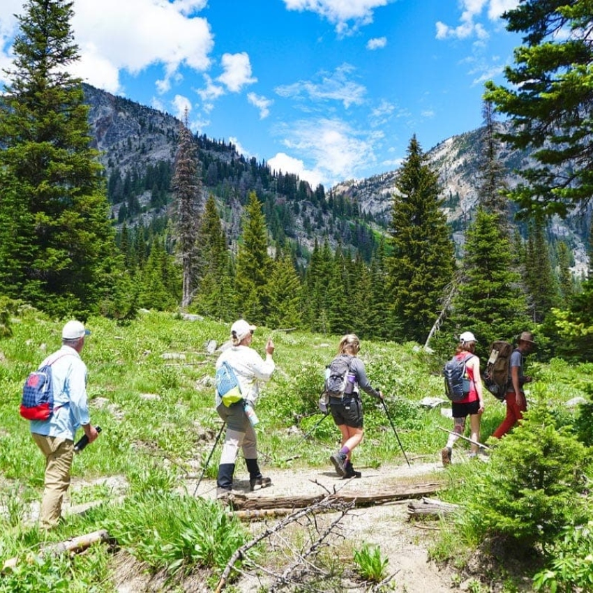 Five people hike with backpacks and walking sticks along a forested trail with mountains and blue sky in background